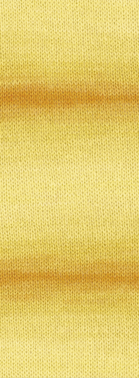SETASURI DÉGRADÉ 0107